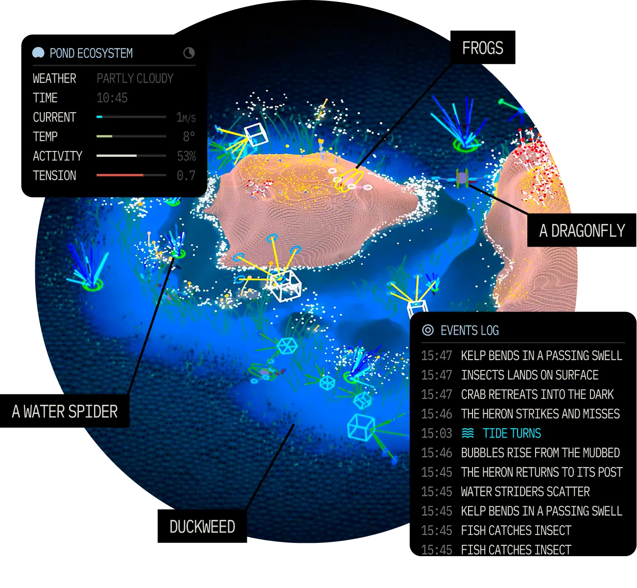 Sound ecosystem of a mur mur water world
