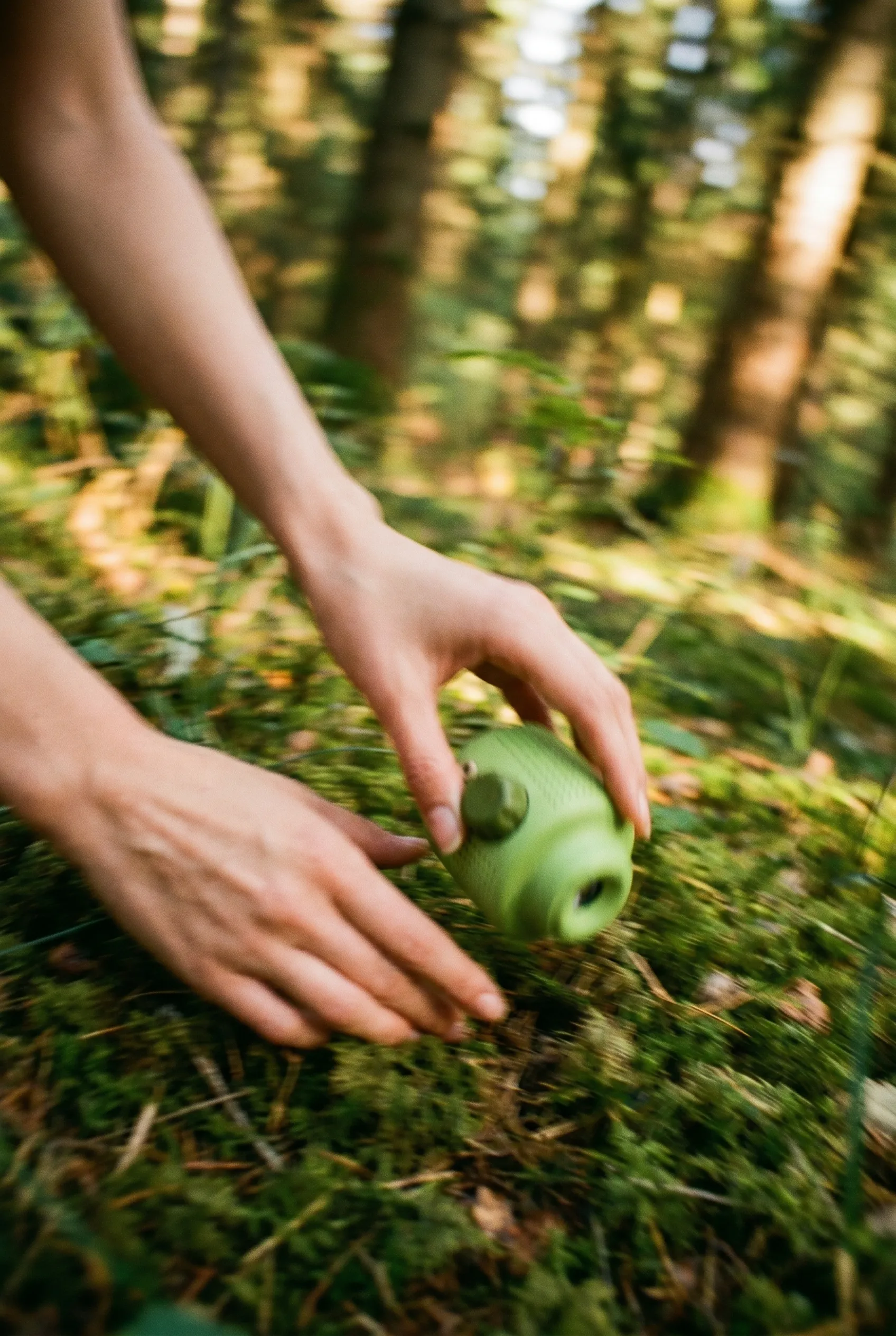 Murmur in green in the forest